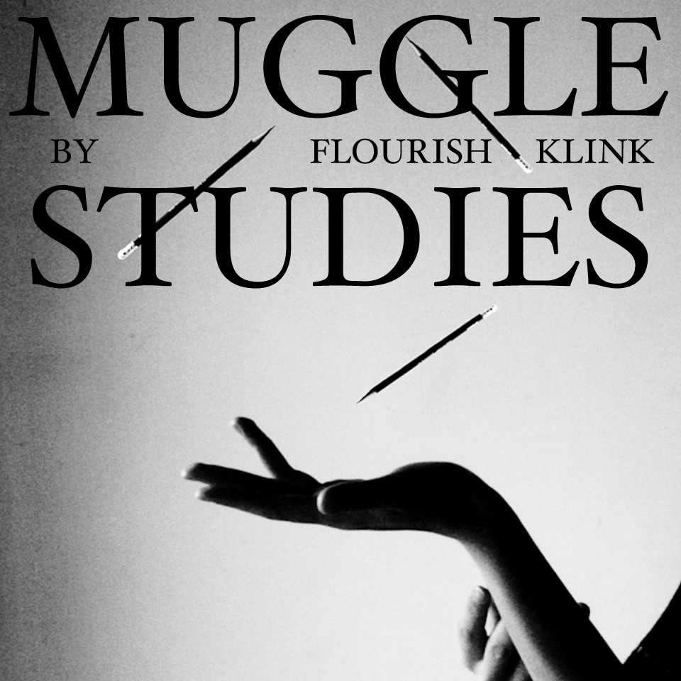 Image result for muggle studies